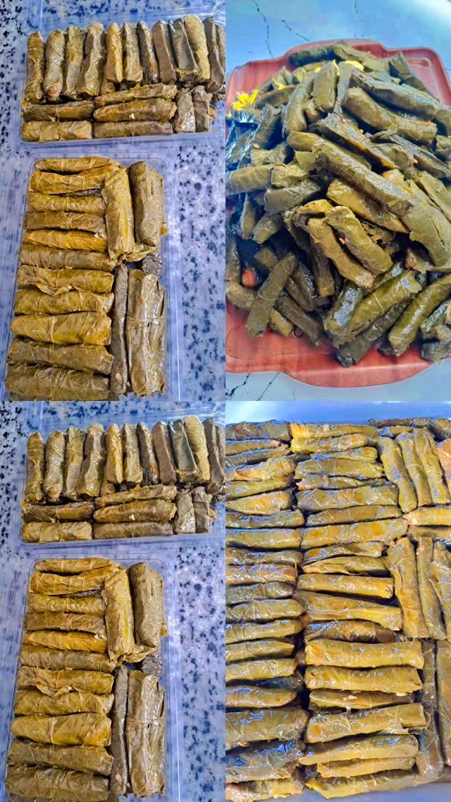 588635781 1571422697383140 1021326697358798870 n jpg