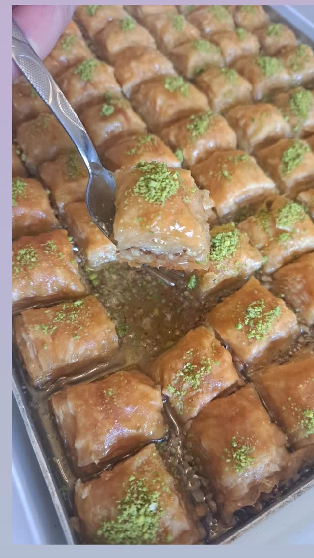 655067101 2132895617506279 3797783141040083191 n