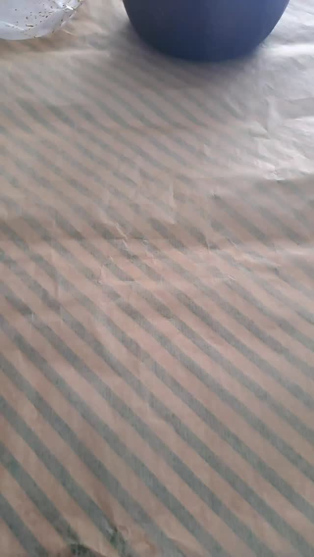 695180799 1278404851156257 1512128488016720612 n